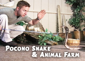 Pocono Snakes and Animal Farm